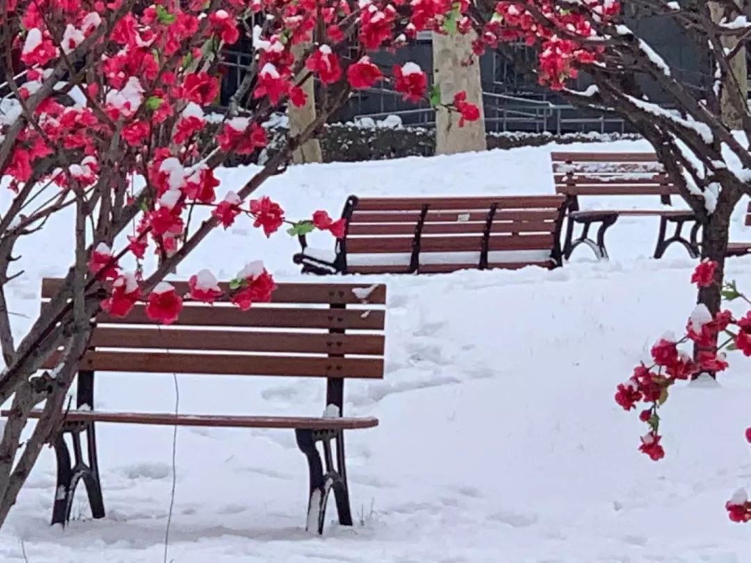 霉菌性阴道炎临床有何症状 怎样避免复发‘火狐电竞平台’(图1) 火狐电竞平台