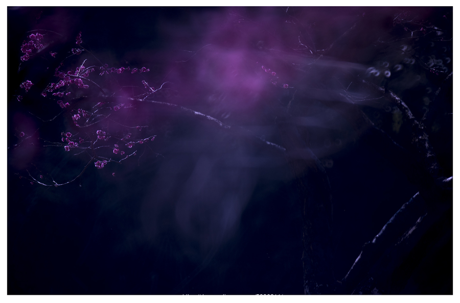 火狐电竞官网_段奥娟配音首秀来袭 电影《你好霸王龙》阵容再升级(图1) 火狐电竞平台