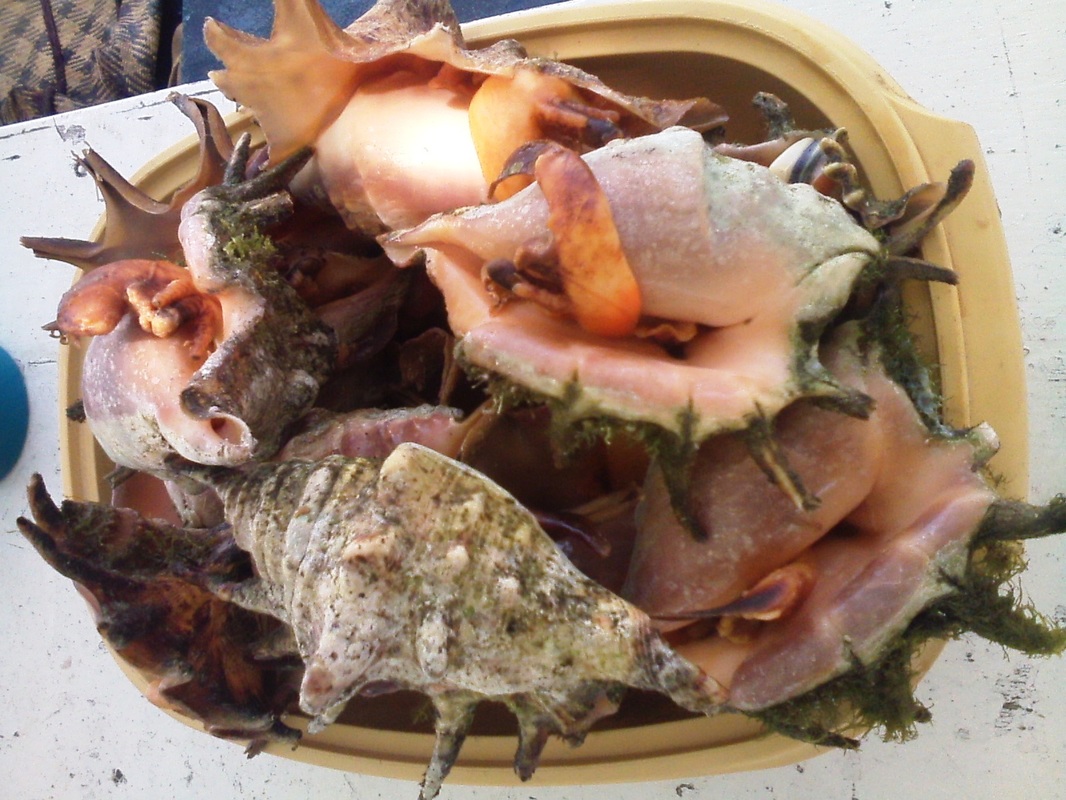 ‘火狐电竞官网’卫衣搭配裙子 赶紧戳进来看看四种穿法让你亮瞎路人眼(图4) 火狐电竞平台