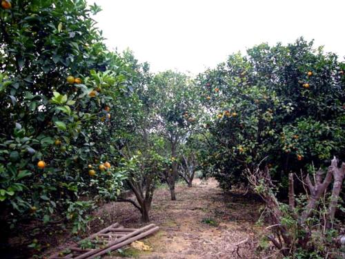 火狐电竞官网-女性更年期保健从四十开始(图1) 火狐电竞