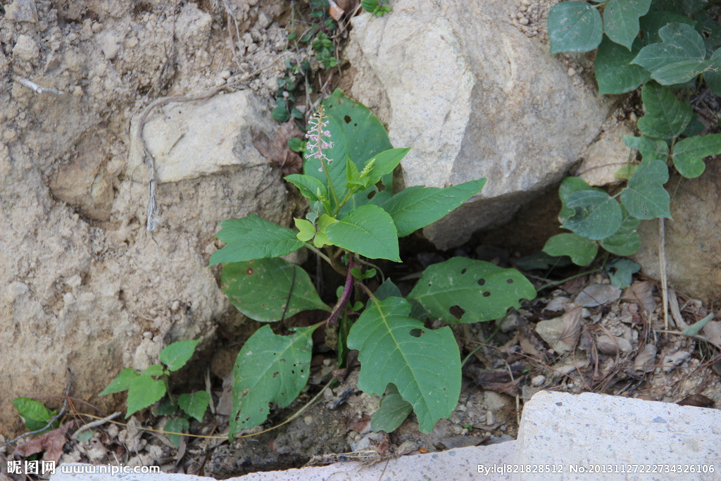 CPB遮瑕膏怎么样 炒鸡好用的遮瑕棒痘痘黑眼圈的克星:火狐电竞(图2) 火狐电竞平台
