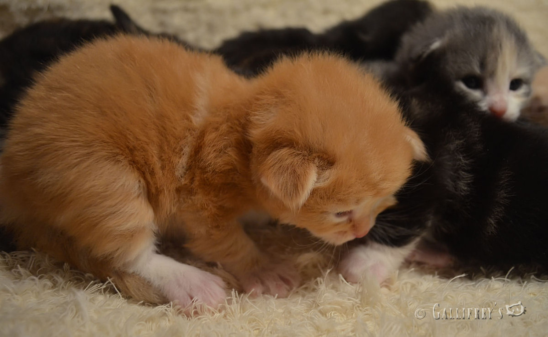 消除女性乳房胀痛11招“火狐电竞官网”(图1) 火狐电竞官网