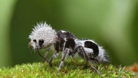 杨坤献唱冯小刚贺岁片《只有芸知道》主题曲 黄轩真情表白杨采钰“火狐电竞官网”(图4) 火狐电竞平台