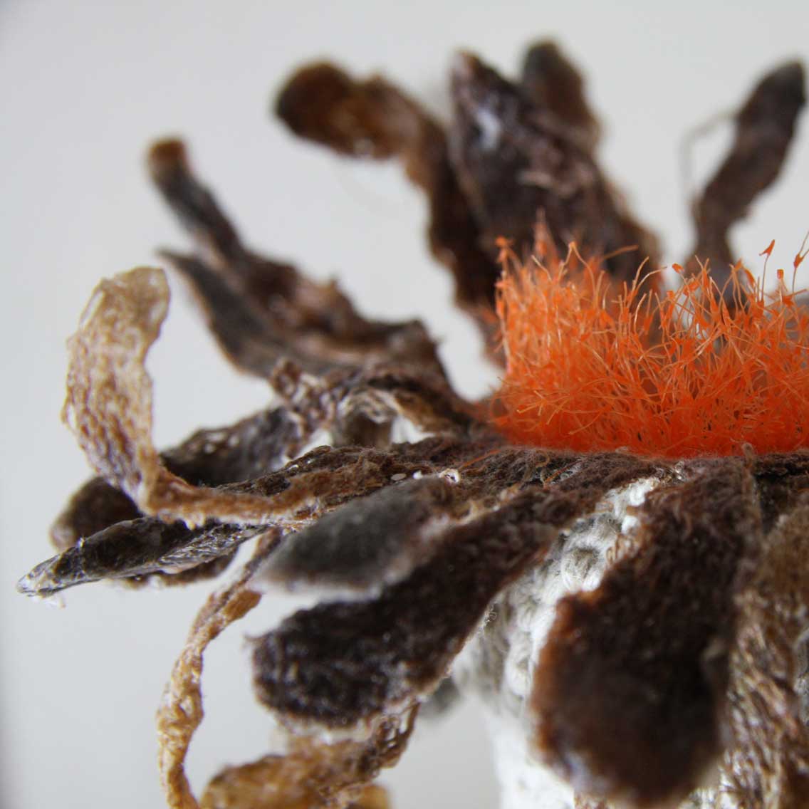 “火狐电竞官网”《神探蒲松龄之兰若仙踪》成龙领衔杀青合影 首发概念海报显东方奇幻“冰山一角”(图2) 火狐电竞平台