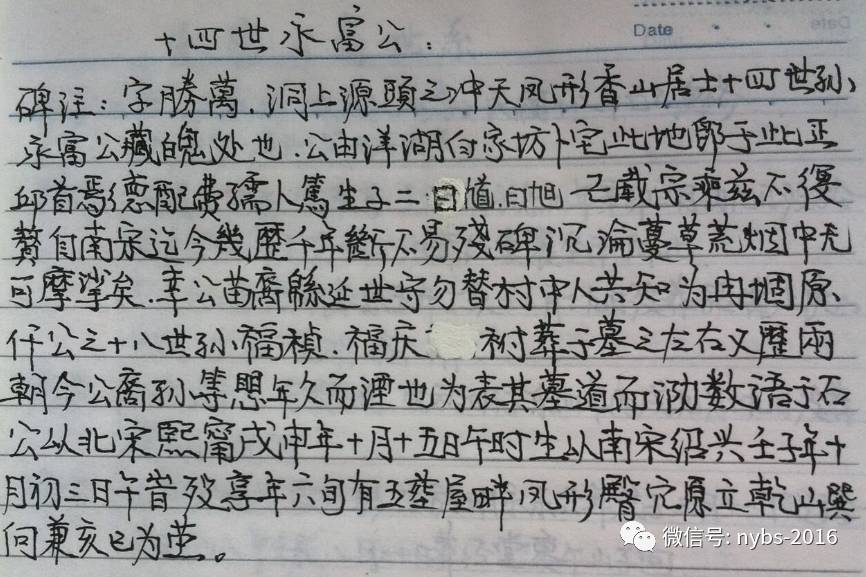 西尔莎·罗南谈《小妇人》 称这部作品是人生中最好的遇见|火狐电竞(图2) 火狐电竞平台