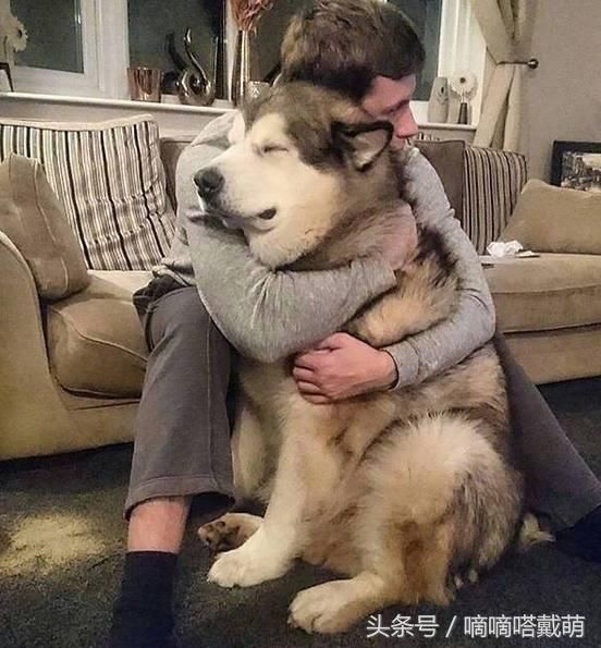 【火狐电竞平台】《游戏规则》受封“最受欢迎热血动作片” 高希希携主创亮相“微博电影之夜”(图2) 火狐电竞官网