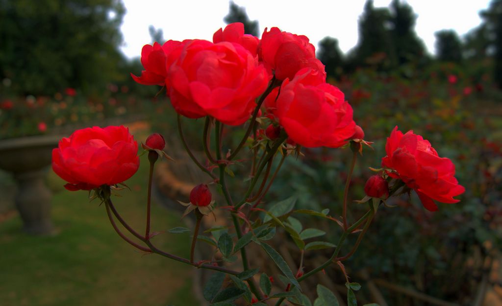 火狐电竞平台-召必回,战必胜!9.2分的《中国医生》把我看哭了(图2) 火狐电竞官网