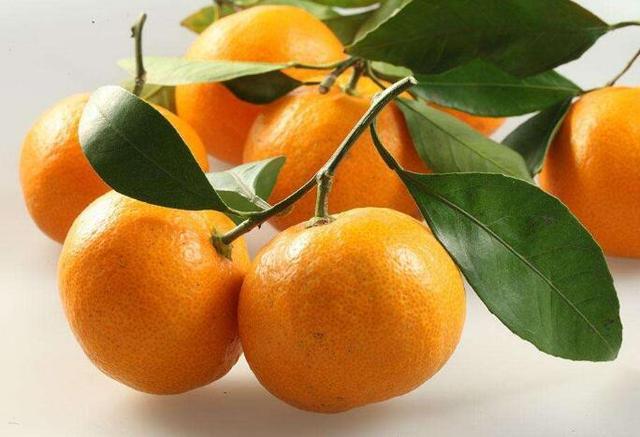 “火狐电竞官网”尖头小平底鞋 今年尖头小平底鞋好看爆了!高跟鞋ByeBye咯(图1) 火狐电竞