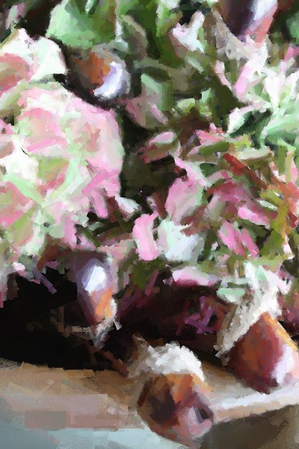 处女膜到底对女人有啥用【火狐电竞平台】(图4) 火狐电竞