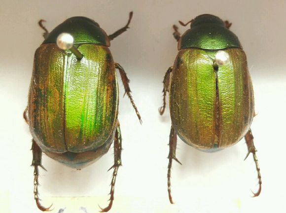 火狐电竞|不会打领带? 教你打领带5大方法(图1) 火狐电竞官网