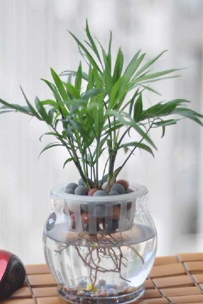 艺术衍生品市场效应不容小觑_火狐电竞平台(图1) 火狐电竞平台