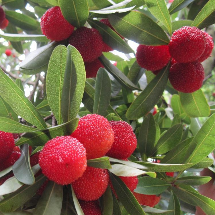 艺术品市场深度调整已有四年是否到抄底时_火狐电竞(图1) 火狐电竞官网