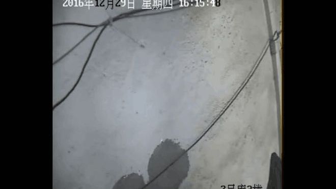 《黑豹》蝉联北美周末票房冠军 MCU最快破4亿佳作:火狐电竞(图3) 火狐电竞