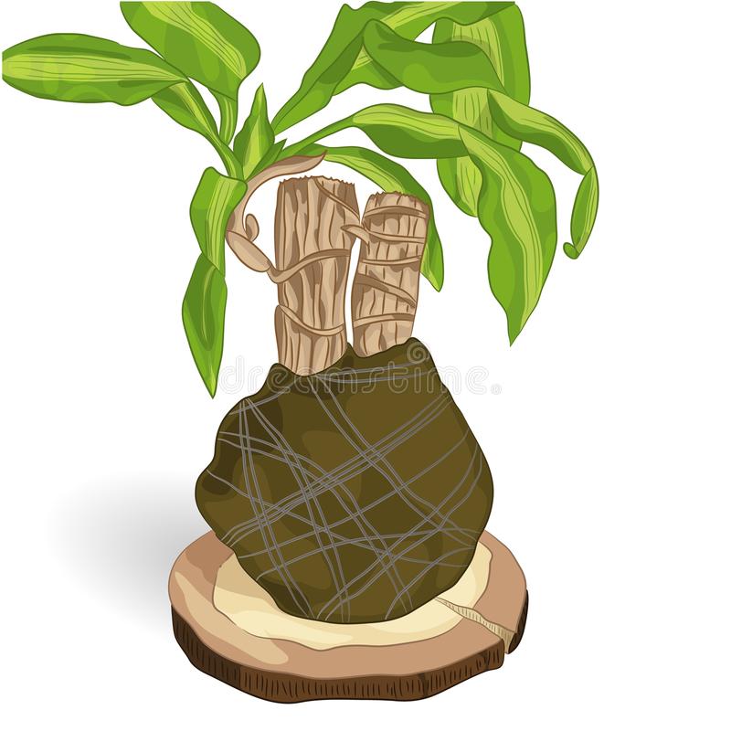 <h1>9万人报考中国美院 比去年增加五成-火狐电竞平台(图1) 火狐电竞平台