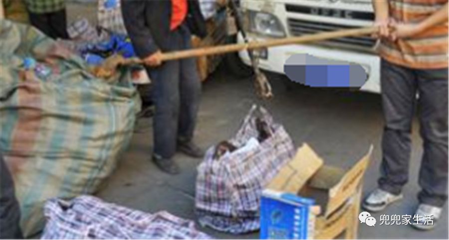 ‘火狐电竞官网’《悲伤逆流成河》周五逆袭《黄金兄弟》夺冠 《影》首日排映不敌《李茶的姑妈》(图2) 火狐电竞